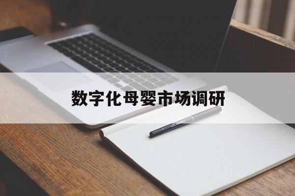 三门峡市数字化母婴市场调研(数字化母婴市场调研报告)